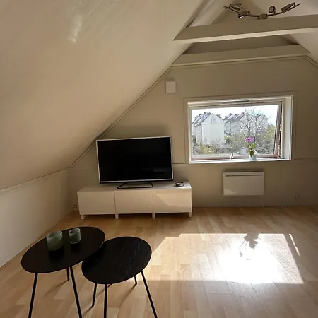 Loft With Parking In アパート