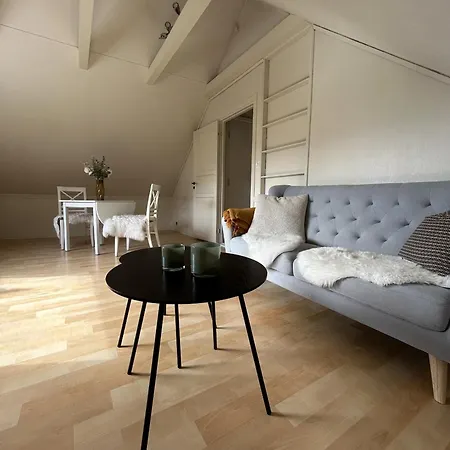 Loft With Parking In アパート *